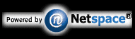 Netspace of Oakland County – an Internet Consultantcy focused on creating an effective web presence for its clients.